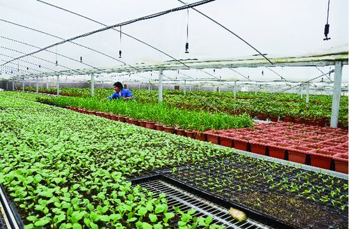 全省推進 農(nóng)產(chǎn)品出村進城工程 溫州2地被列為省級試點縣