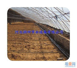 【滴水軟帶廠家|黑色壁厚0.3mm蔬菜滴灌輸水帶的圖片】-省內(nèi)其它易登網(wǎng)