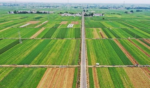 中國(guó)各個(gè)省份的 第一 ,廣東美食第一,剩下那17個(gè)省市想不到了