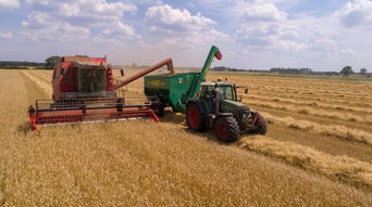 重磅 2019中央農(nóng)村工作會議部署,事關(guān)農(nóng)業(yè)人的未來