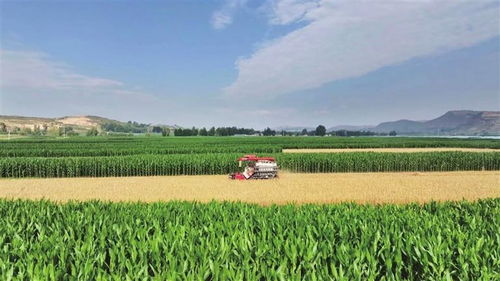 凝心聚力促發(fā)展 砥礪奮進踏新程 渭源縣推進經濟社會高質量發(fā)展綜述