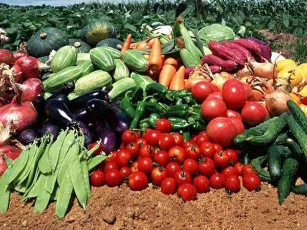 今年下半年,東營農(nóng)業(yè)部門將加快培育農(nóng)業(yè)&ldquo;新六產(chǎn)&rdquo;