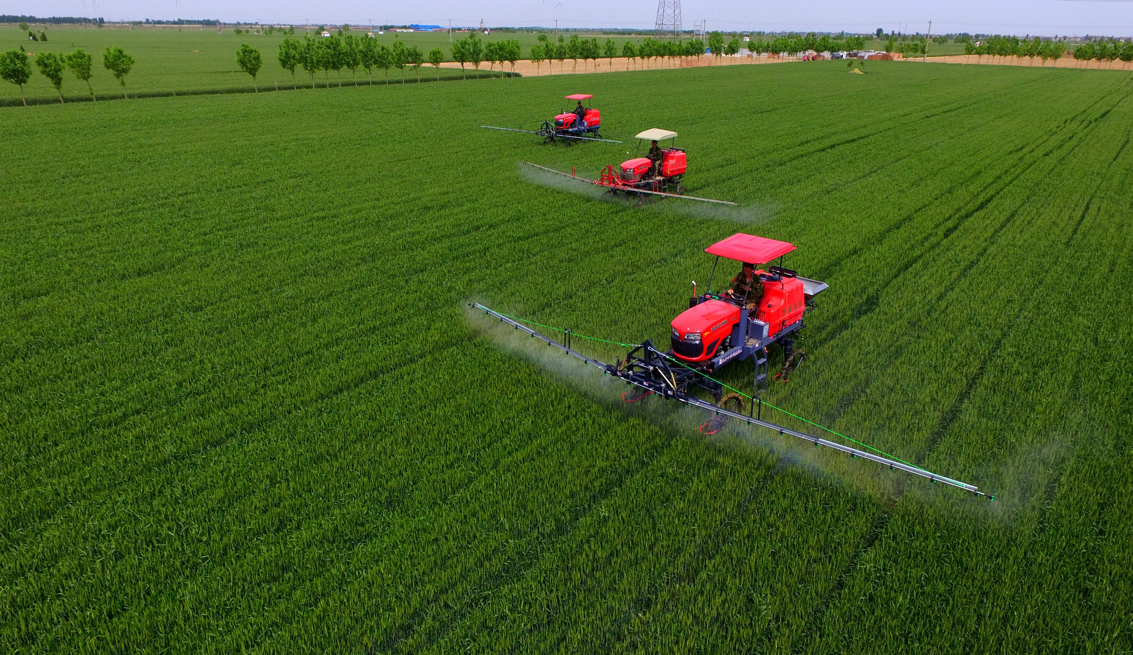 夏糧豐收在望 農(nóng)業(yè)&ldquo;壓艙石&rdquo;穩(wěn)固--鄉(xiāng)村振興不斷夯實(shí)經(jīng)濟(jì)社會發(fā)展根基