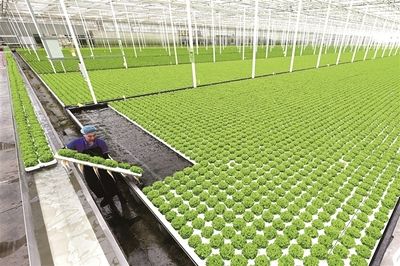 兩會觀察丨大國強農(nóng)向新行