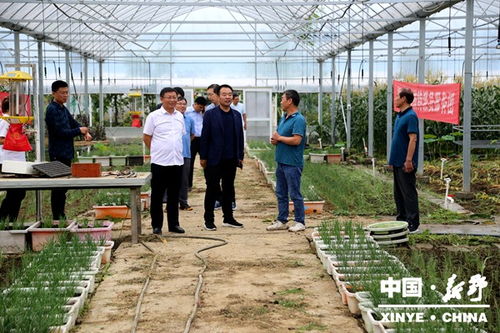 河南建業(yè)集團考察調(diào)研新野縣特色農(nóng)業(yè)產(chǎn)業(yè)項目建設(shè)工作