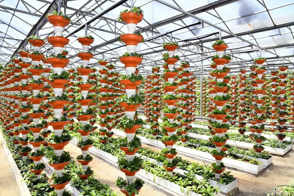 總產值首破萬億元!透視山東農業發展信號-國際在線