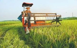 休閑農(nóng)業(yè)與鄉(xiāng)村旅游示范應(yīng)具備的基本條件